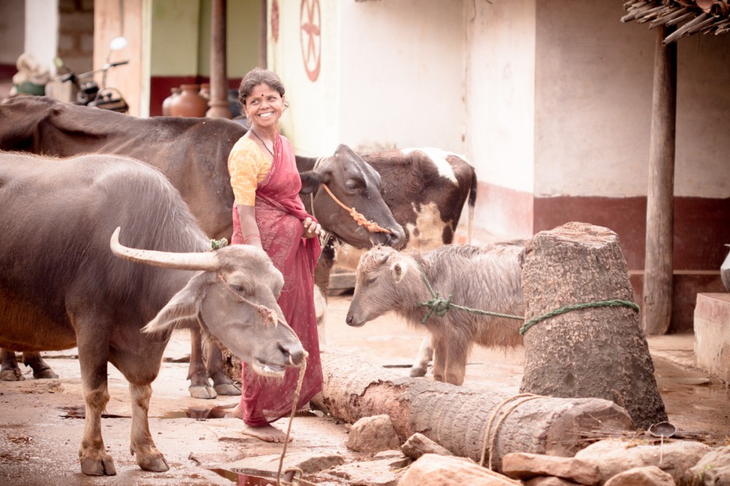 By Vikash Kumar Photography