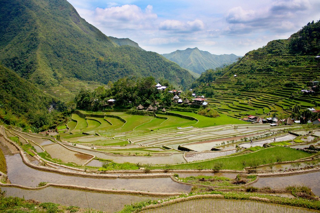 Batad rice terraces in Ifugao. By Ericmontalban - Wikimedia Commons.