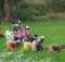 Women harvesting rice paddy in Tamil Nadu, India.  Uploaded by Fowler&fowler. From Wikimedia Commons.