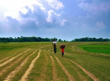 The haor region of Bangladesh. By Balaram Mahalder. From Wikimedia Commons.