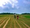 The haor region of Bangladesh. By Balaram Mahalder. From Wikimedia Commons.