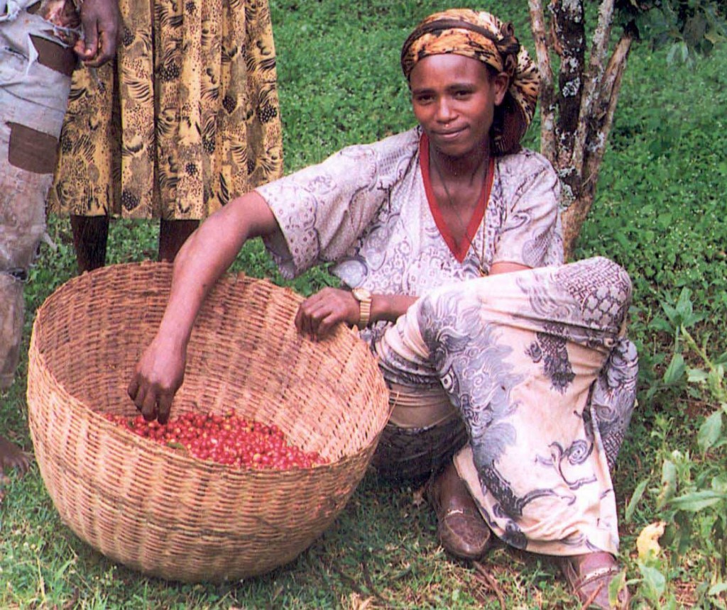 Female_coffee_farmer_in_Ethiopia_(5762538117)