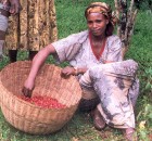Female_coffee_farmer_in_Ethiopia_(5762538117)