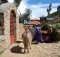 Women with mules on Isla del Sol, Bolivia.